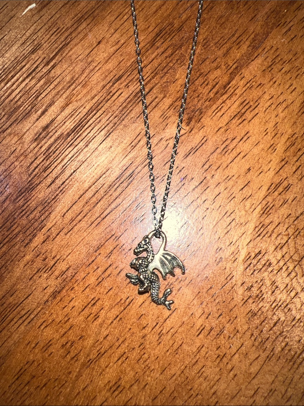Silver toned Dragon Pendant Necklace